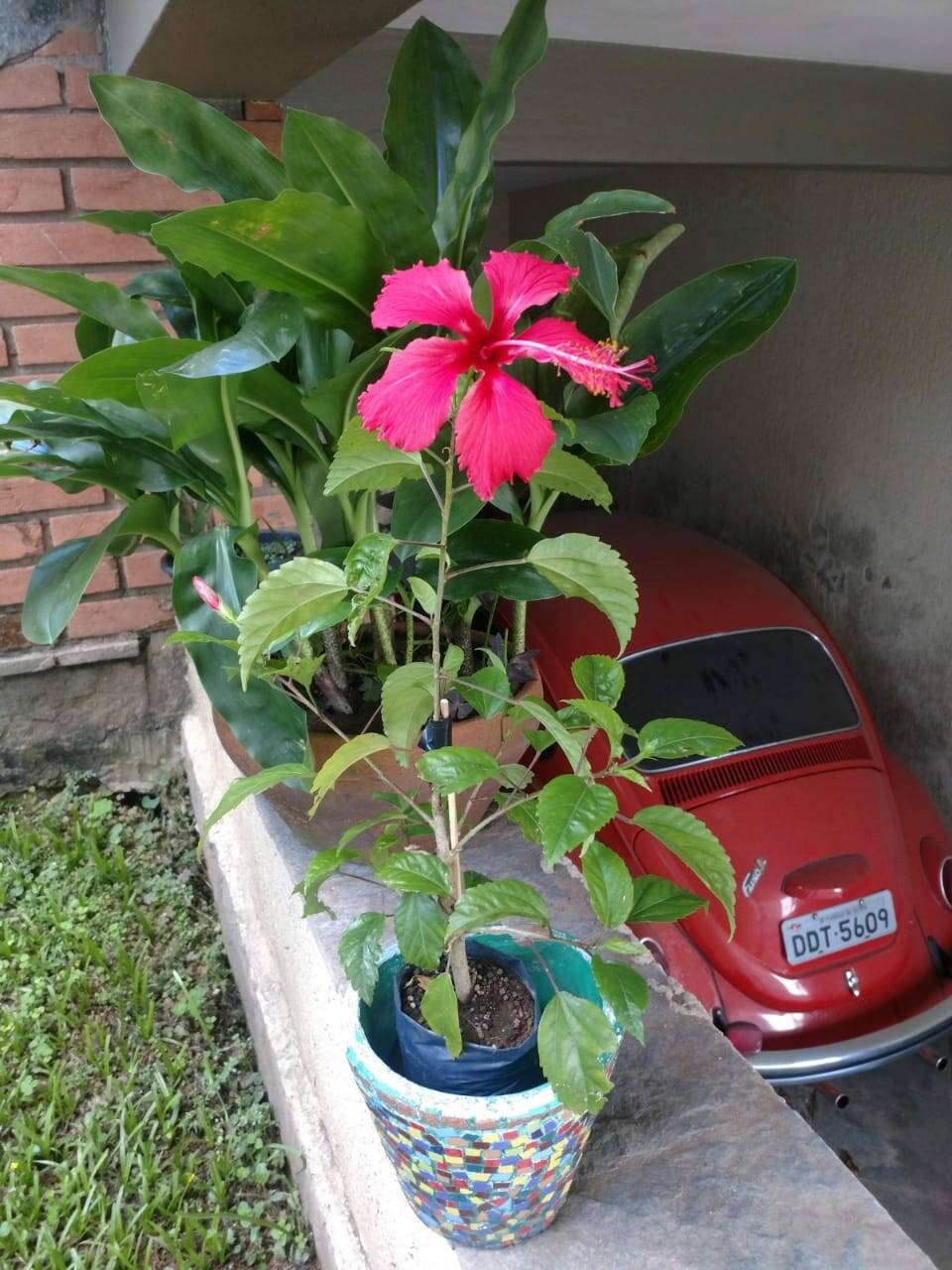 Casa, 3 quartos, 190 m² - Foto 20