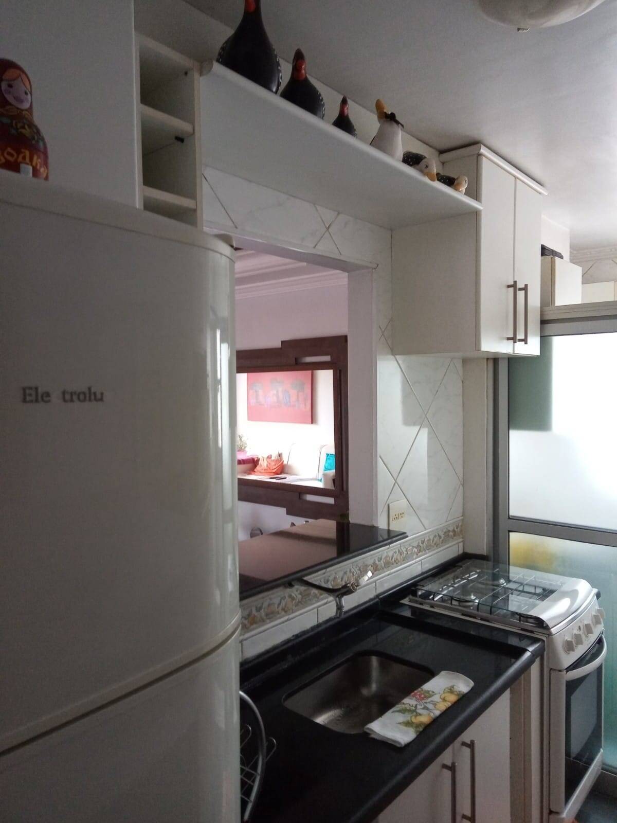 Apartamento, 3 quartos, 60 m² - Foto 30
