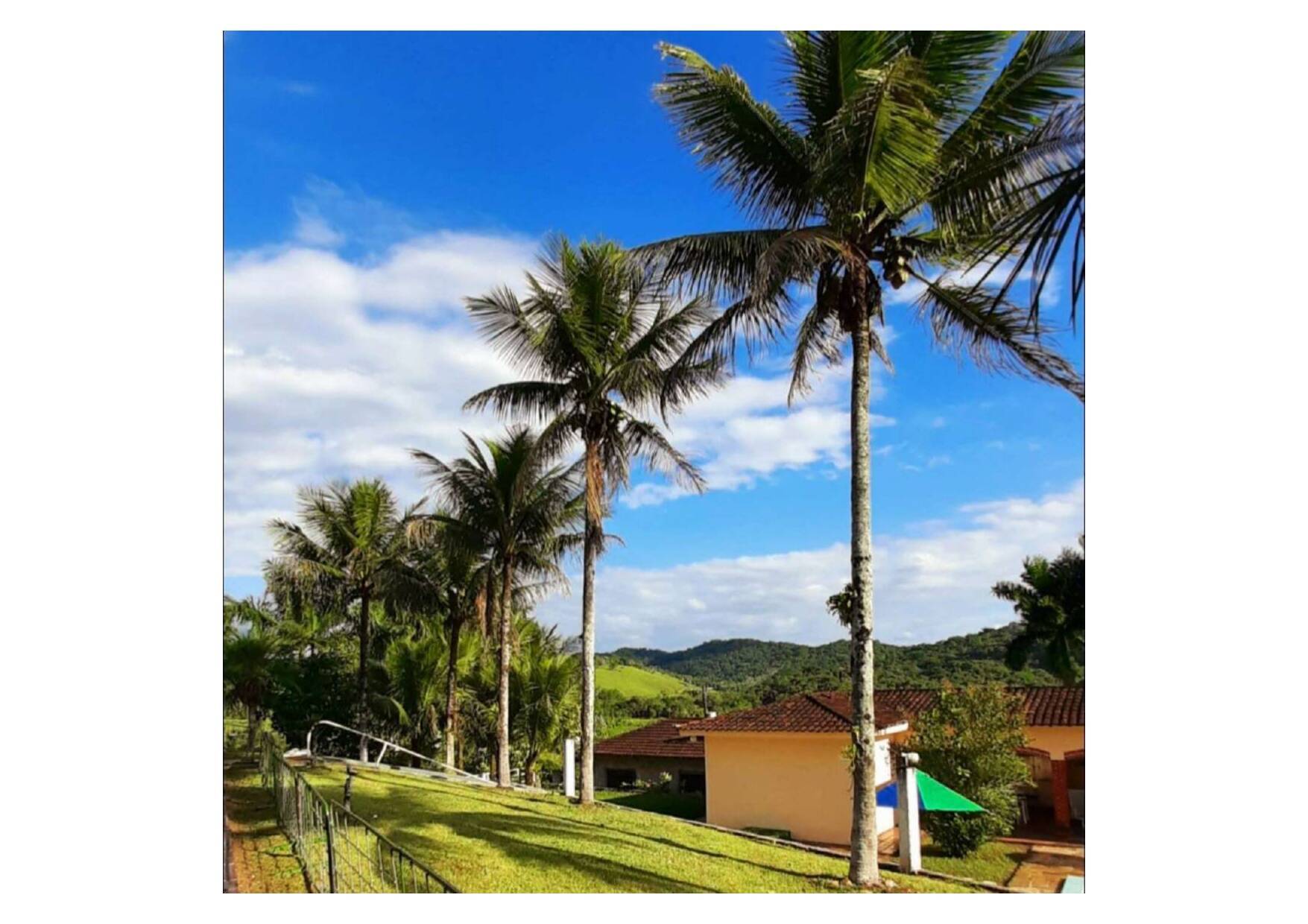 Fazenda à venda com 3 quartos, 104m² - Foto 10