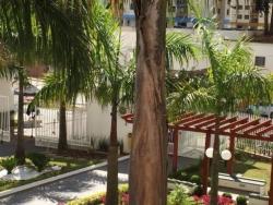 Apartamento para Locação em Taboão da Serra - 2