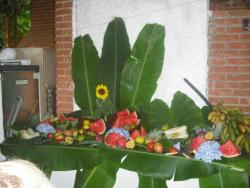 Chácara para Venda em Cotia - 4