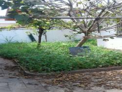 Sobrado para Venda em São Paulo - 4