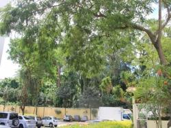 #APV0613 - Apartamento para Venda em São Paulo - SP - 3