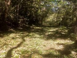 Área para Venda em Cotia - 4