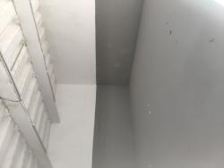 Galpão para Locação em São Paulo - 5