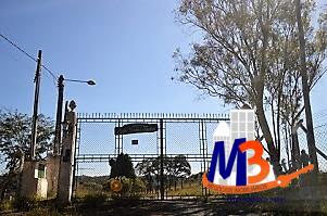 Sítio, 4 quartos, 13 hectares - Foto 2