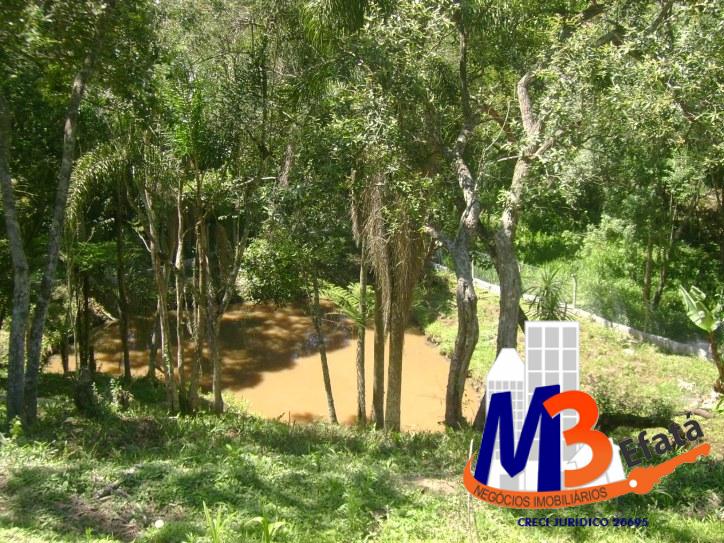 Chácara à venda com 7 quartos, 16000m² - Foto 10
