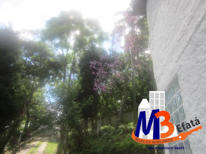 Chácara à venda com 7 quartos, 16000m² - Foto 19
