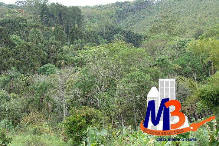Chácara à venda com 7 quartos, 16000m² - Foto 38