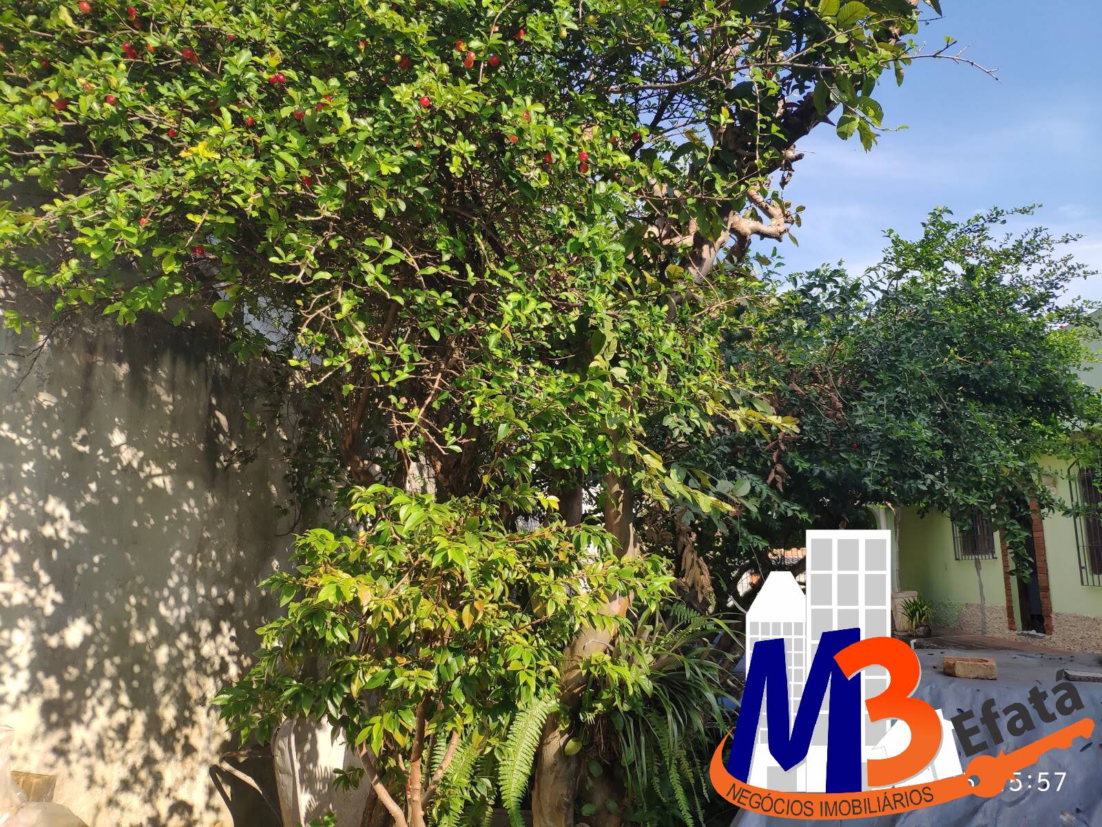 Casa, 6 quartos, 148 m² - Foto 32
