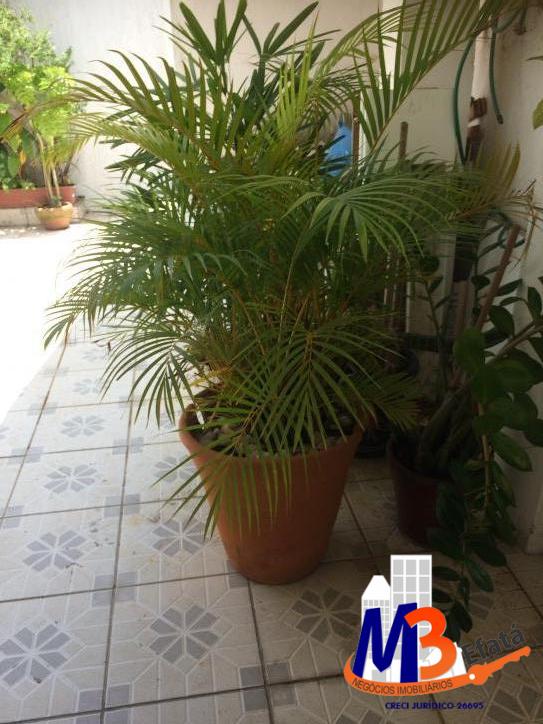 Casa à venda com 2 quartos, 90m² - Foto 57