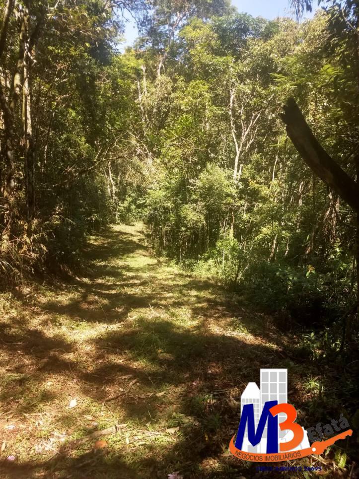 Terreno, 1125 m² - Foto 2