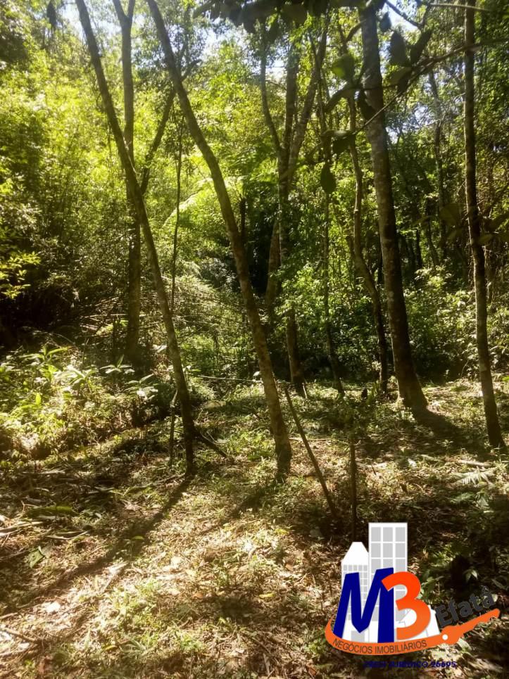 Terreno, 1125 m² - Foto 3