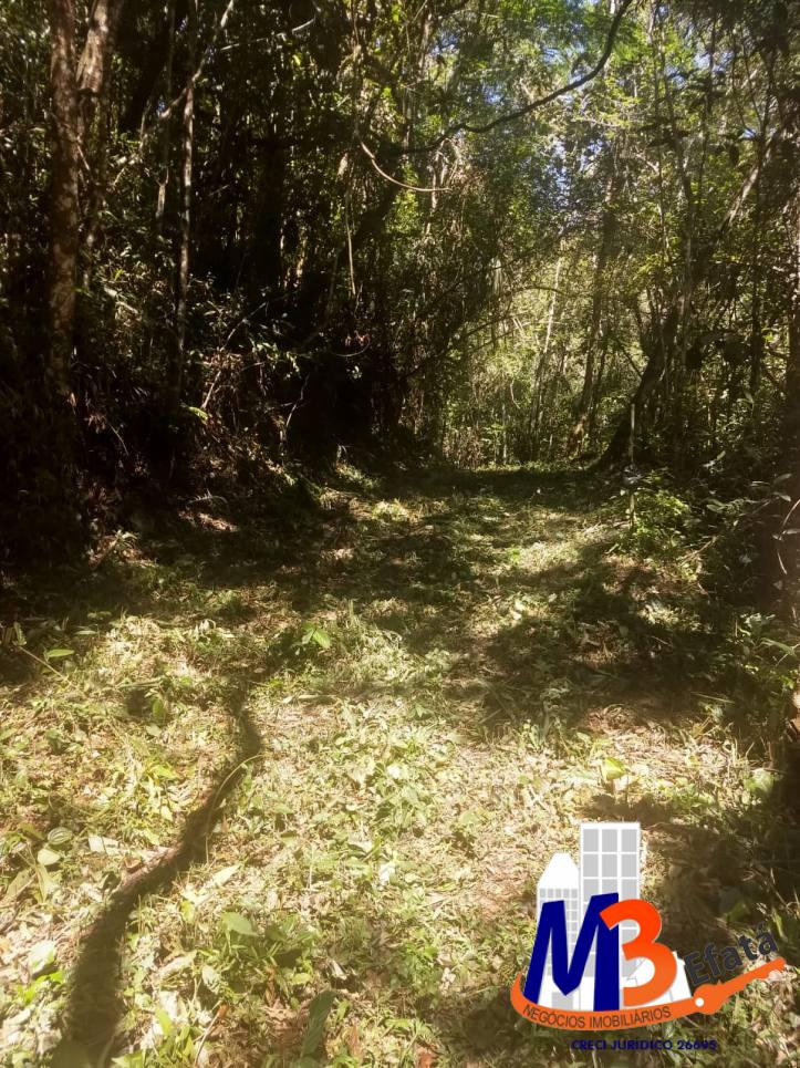 Terreno, 1125 m² - Foto 4