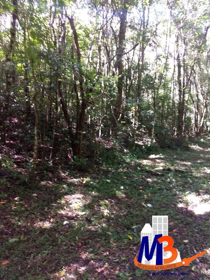 Terreno, 1125 m² - Foto 6