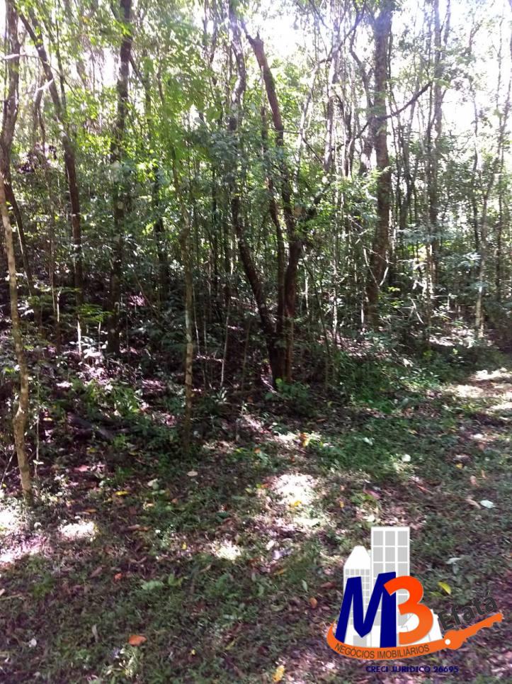 Terreno, 1125 m² - Foto 7