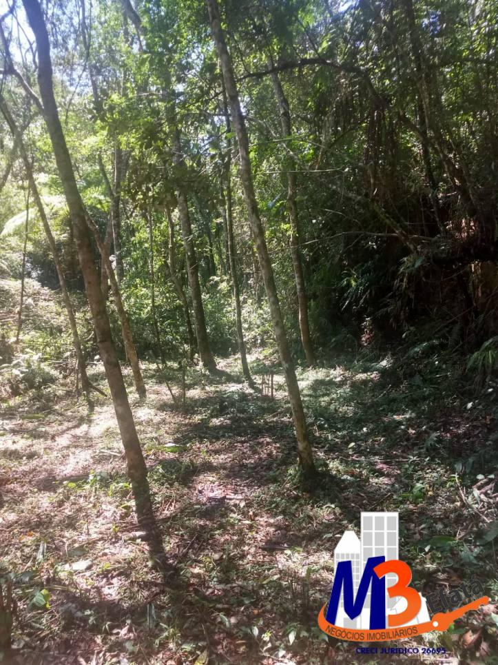 Terreno, 1125 m² - Foto 9