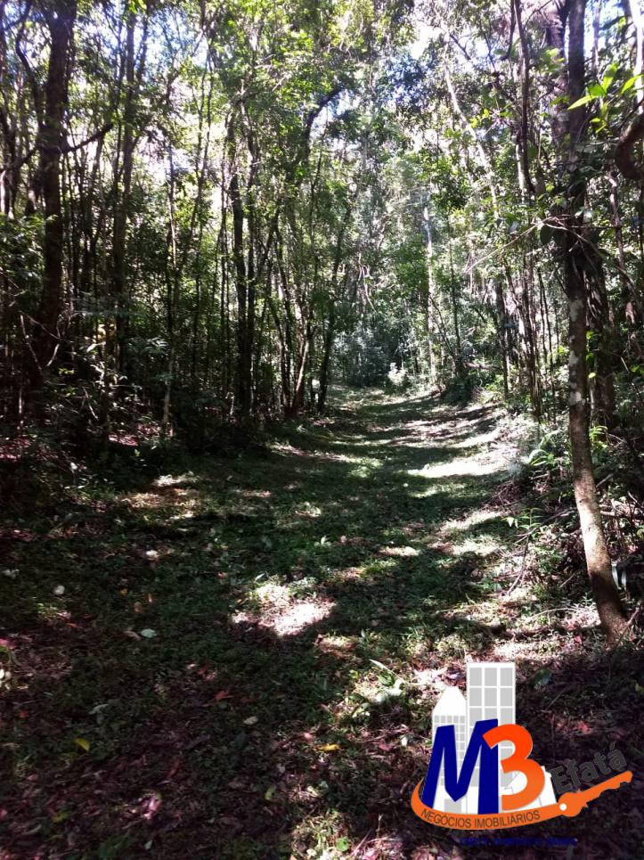 Terreno, 1125 m² - Foto 10