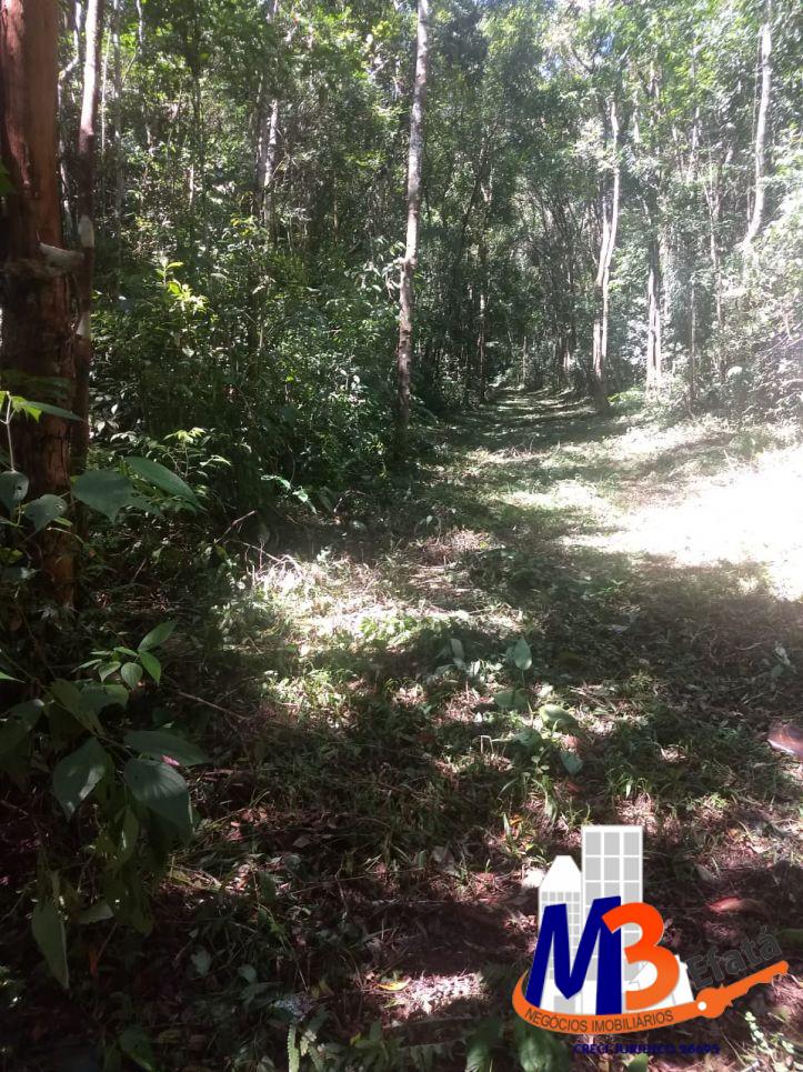 Terreno, 1125 m² - Foto 11