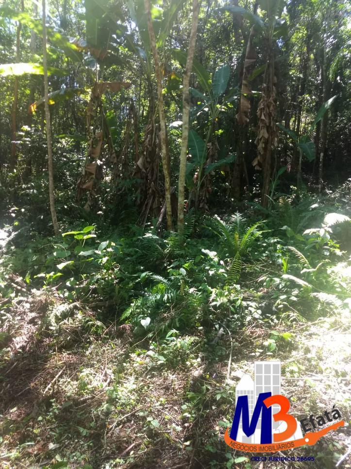 Terreno, 1125 m² - Foto 12