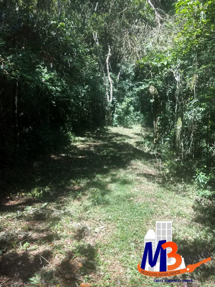 Terreno, 1125 m² - Foto 13