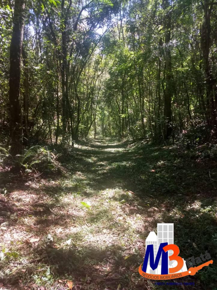 Terreno, 1125 m² - Foto 14