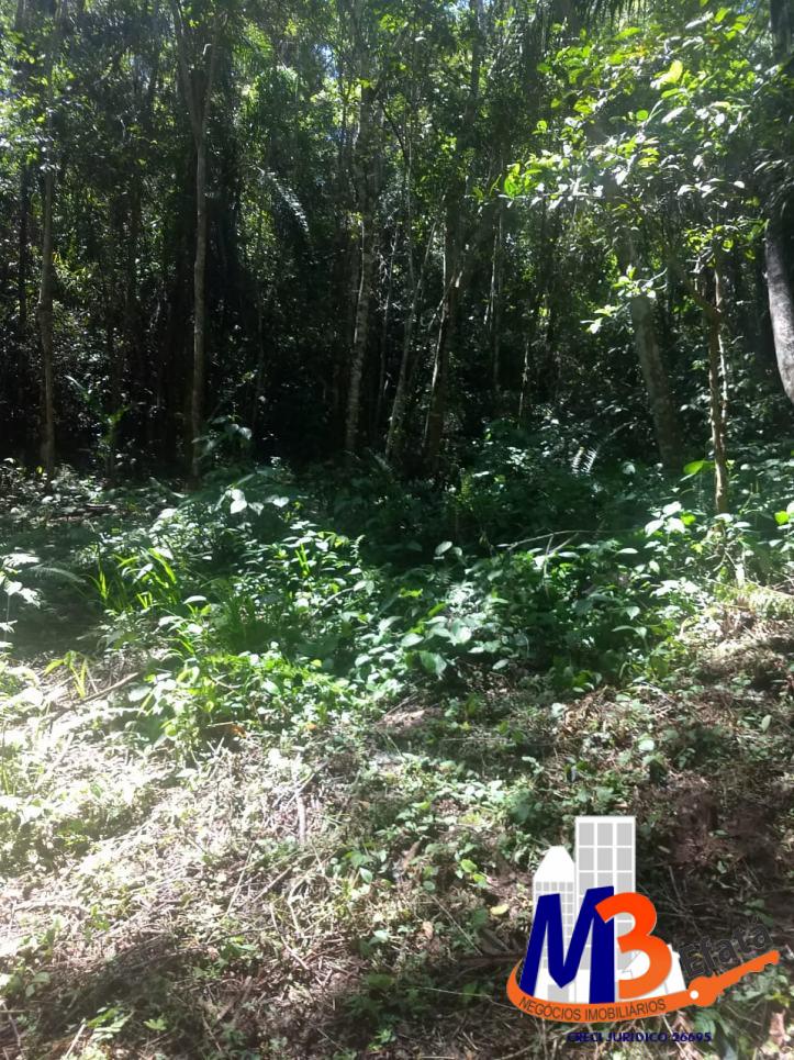 Terreno, 1125 m² - Foto 15