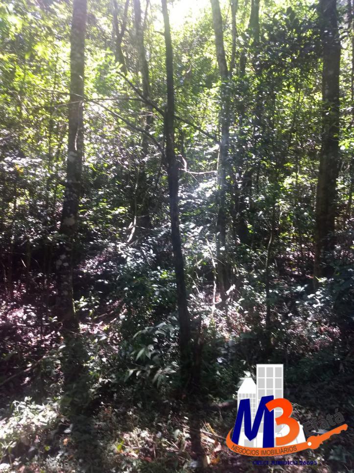 Terreno, 1125 m² - Foto 20