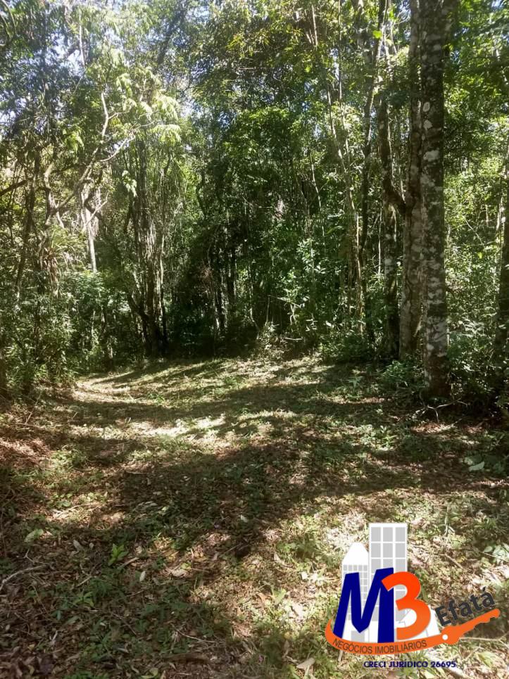 Terreno, 1125 m² - Foto 21