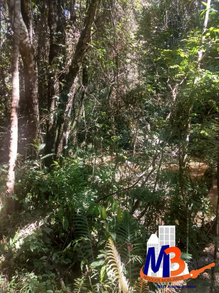 Terreno, 1125 m² - Foto 23