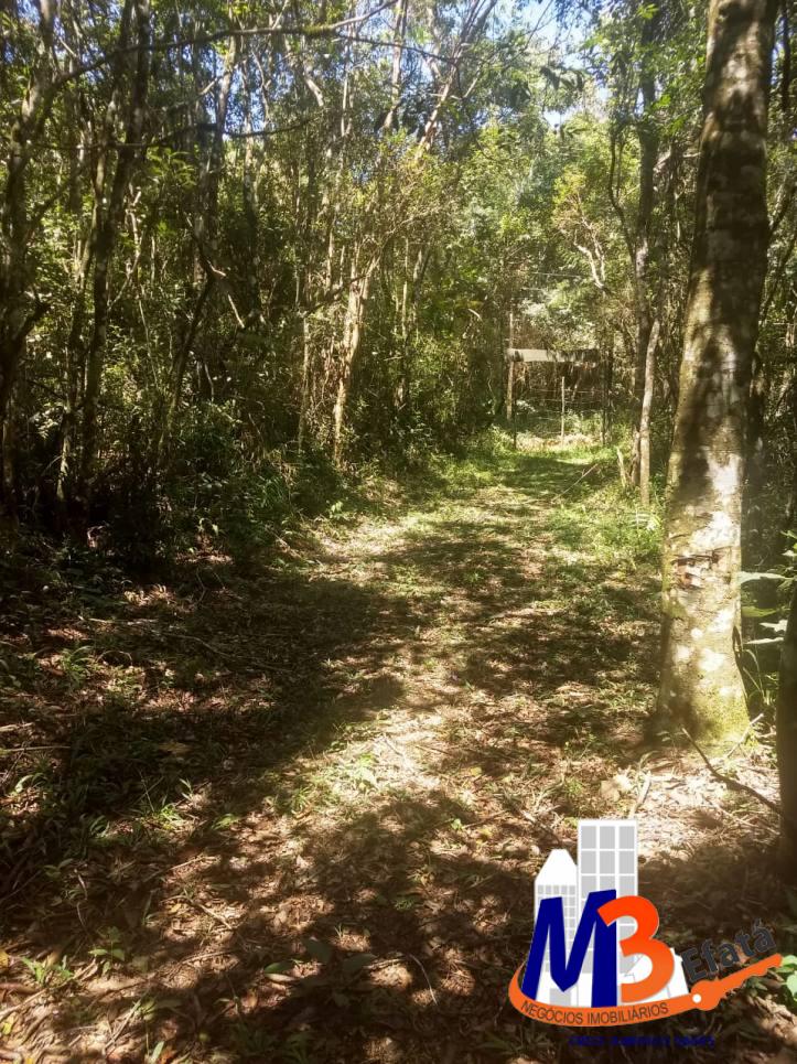 Terreno, 1125 m² - Foto 24