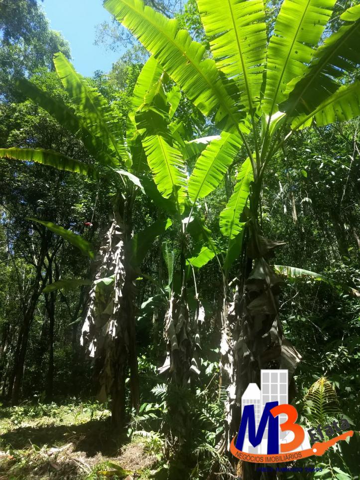 Terreno, 1125 m² - Foto 26