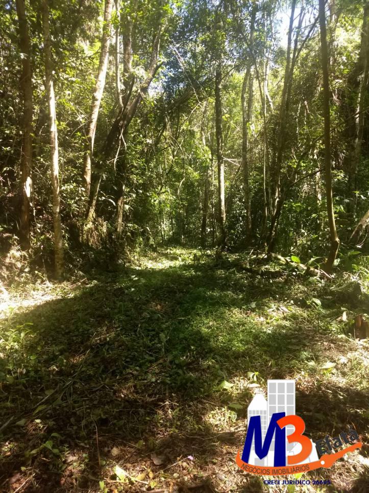 Terreno, 1125 m² - Foto 28