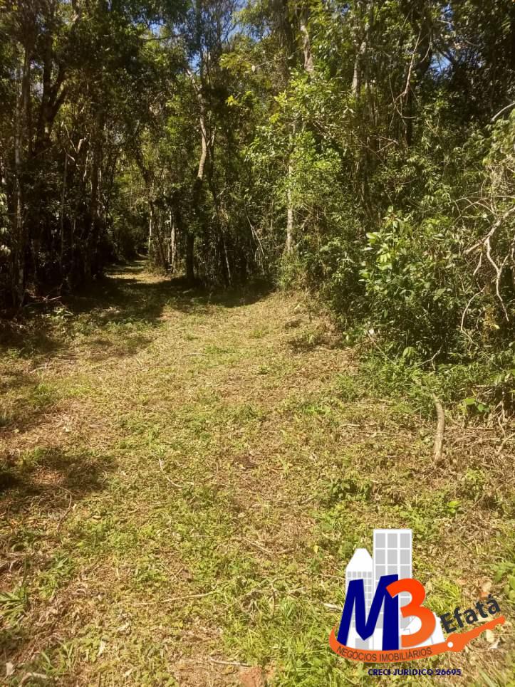 Terreno, 1125 m² - Foto 30