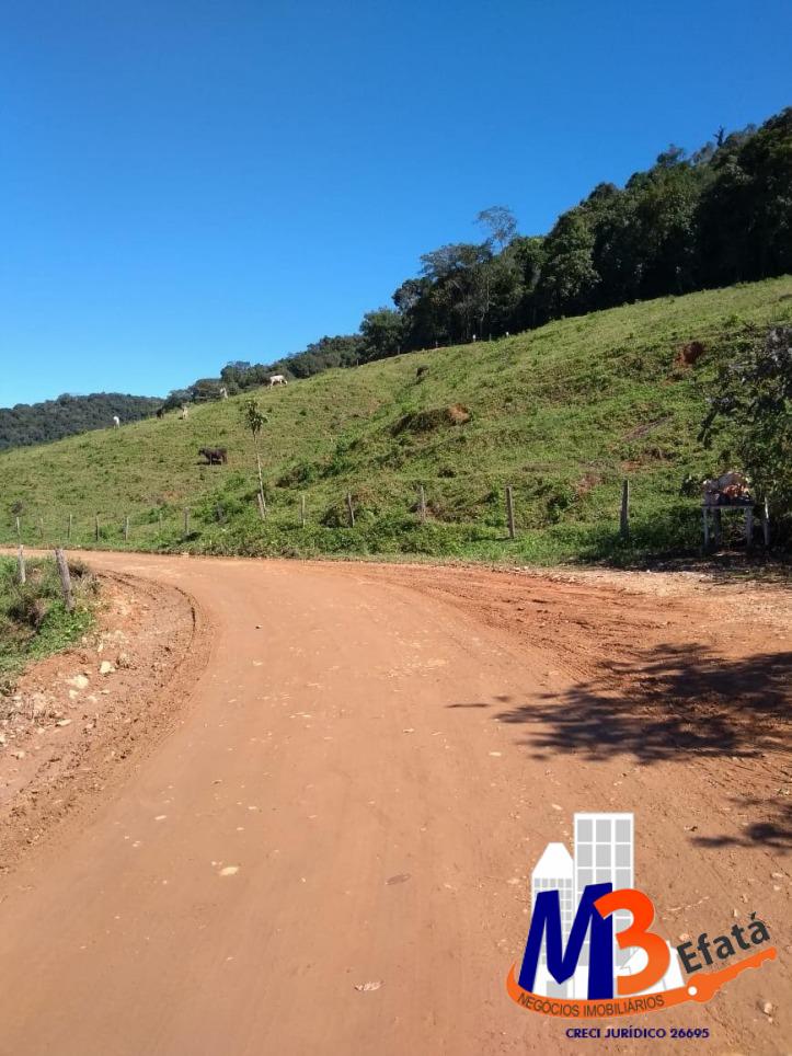 Sítio, 3 quartos, 12 m² - Foto 3