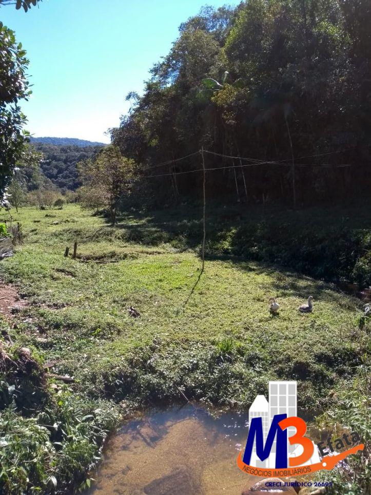 Sítio, 3 quartos, 12 m² - Foto 5