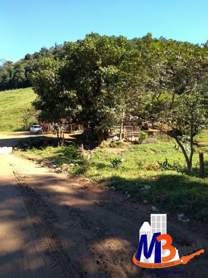 Sítio, 3 quartos, 12 m² - Foto 6