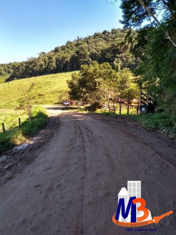 Sítio, 3 quartos, 12 m² - Foto 8