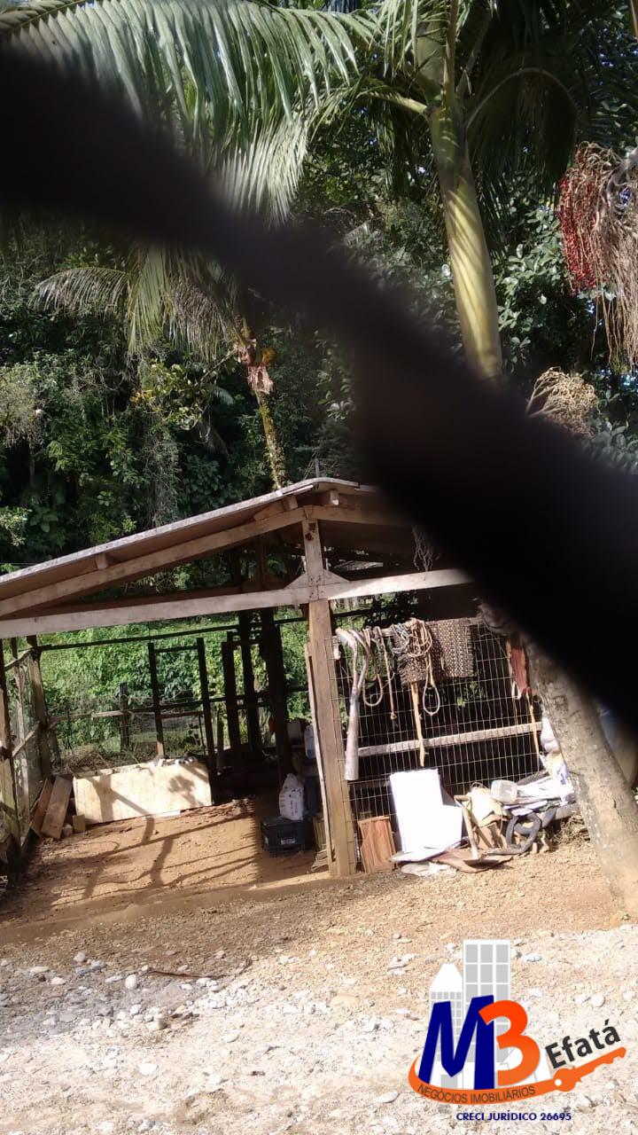 Sítio, 3 quartos, 12 m² - Foto 12