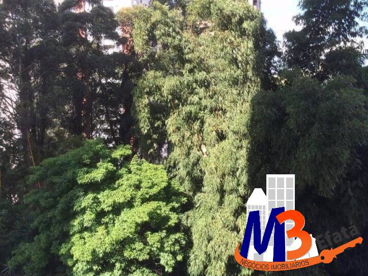 Apartamento à venda com 3 quartos, 78m² - Foto 10